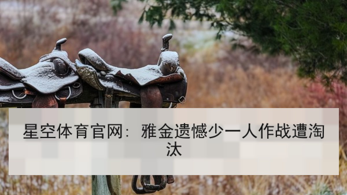 星空体育官网: 雅金遗憾少一人作战遭淘汰 星空体育官网: 雅金遗憾少一人作战遭淘汰